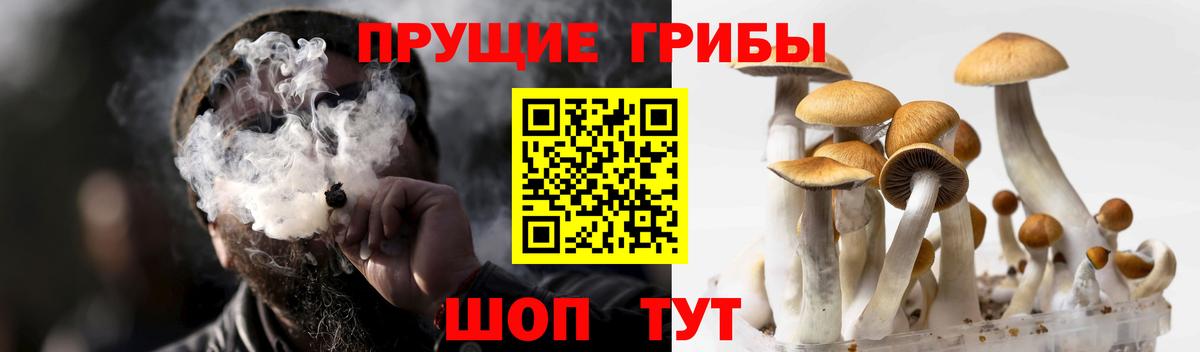 Псилоцибиновые грибы Magic Shrooms  Псилоцибиновые грибы ЛСД  Вход с VPN  Касимов 
